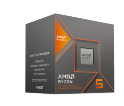 Ryzen 5 8600G - 5GHz/22Mo/AM5/BOX #