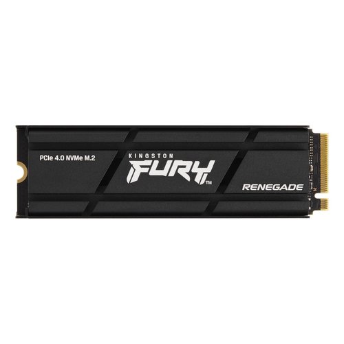 500Go M.2 NVMe Gen4 FURY Renegade-SFYRSK/500G w/hs