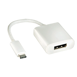 Adaptateur USB3.1 C vers DisplayPort Femelle #