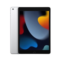 iPad (2021) 256 Go Wi-Fi Argent #